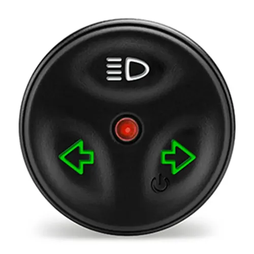 Garmin Viaria Remote
