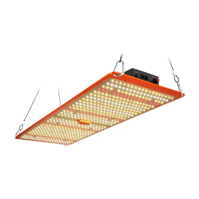 Sunplus Canastar 240W LM301H QUANTUM BRD UV IR - Image 4