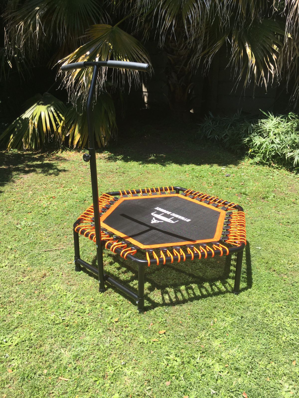 Medalist bungee rebounder cheap